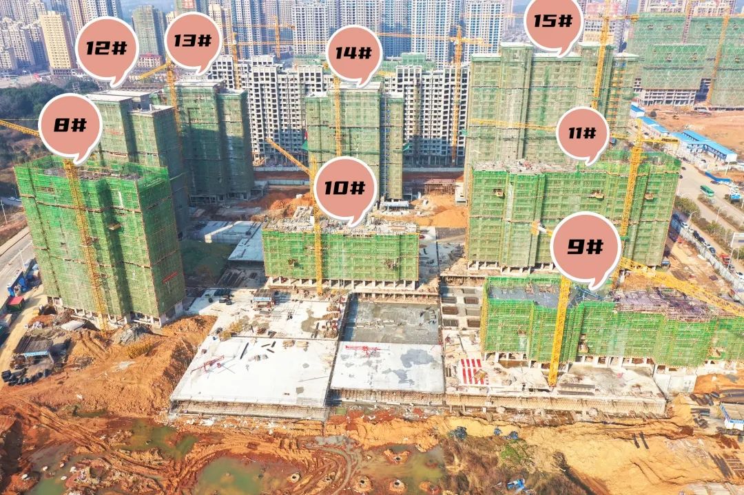 冬寒情暖 共期美好丨公园壹号院1月工程进度播报!