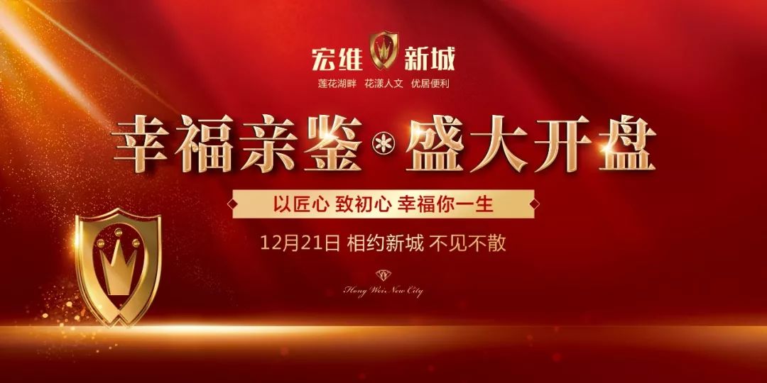 宏维·新城盛大开盘-阳新楼市资讯-阳新新阳网