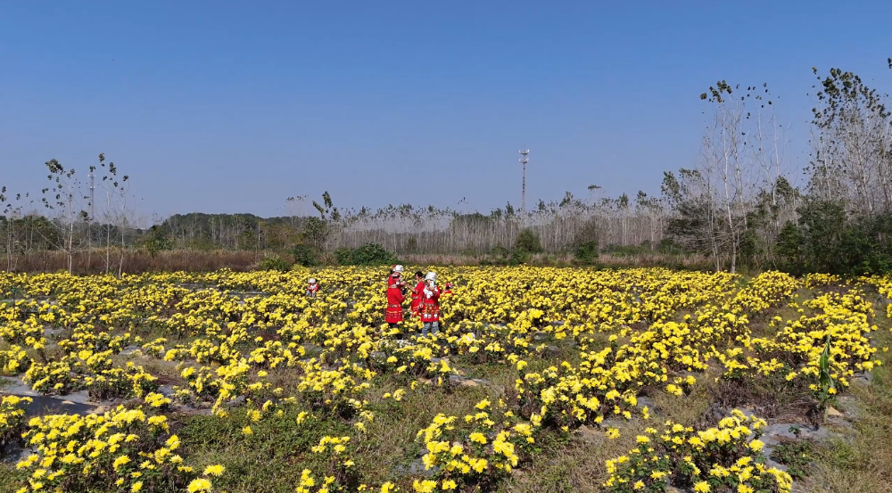 19d6fecfbf63ef38326fd9d428d197fe_f478f3d7-f4f7-4a6a-b012-2378aeb3c4e0.png 19d6fecfbf63ef38326fd9d428d197fe_f478f3d7-f4f7-4a6a-b012-2378aeb3c4e0.png